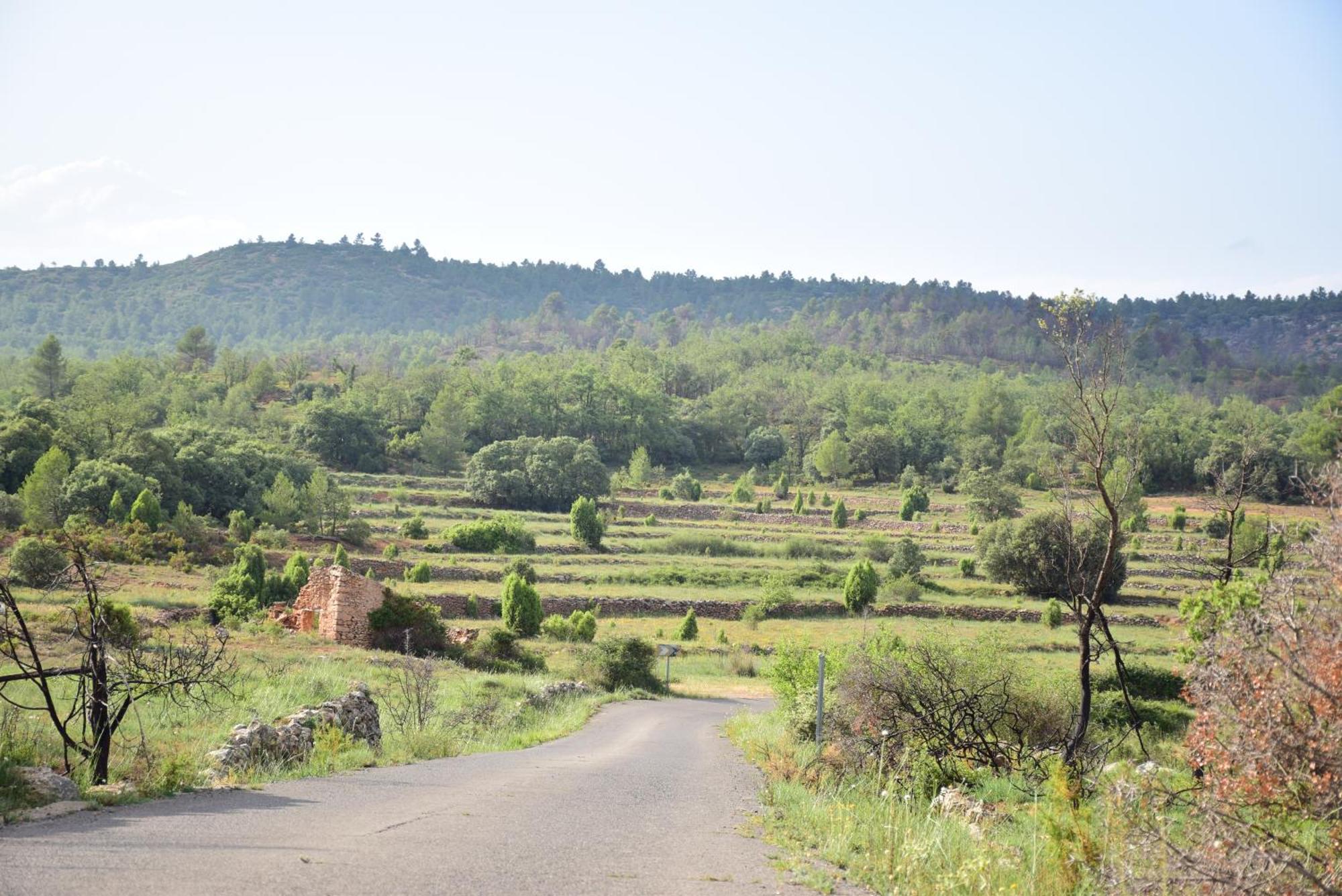 Los Pastores Oasis Ruralヴィラ エクステリア 写真
